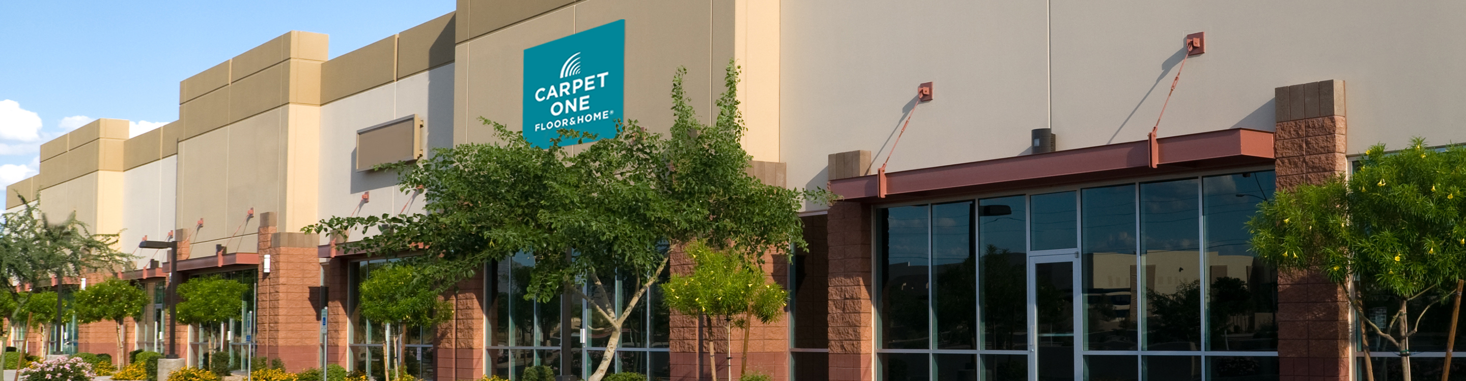 Elgin Carpet One Storefront